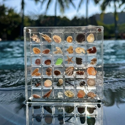 Mua Thiết kế mới mẫu vỏ sò từ tính hộp hiển thị Acrylic cho đồ trang sức hộp lưu trữ online manufacture