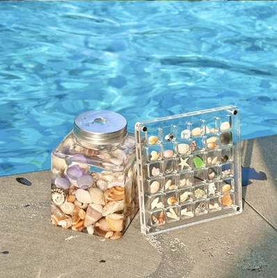 High Transparent DIY Magnetic Seashell Collection Clear Acrylic Display Case Để đi du lịch